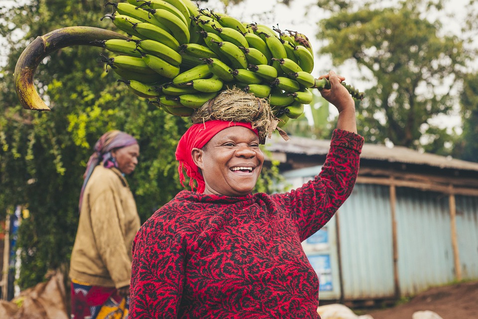 https://madyna.be/storage/activity_photos/686657358fb73/banaan 1.jpg
